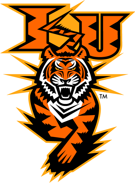 Idaho State Bengals 1997-Pres Alternate Logo v2 iron on transfers for clothing